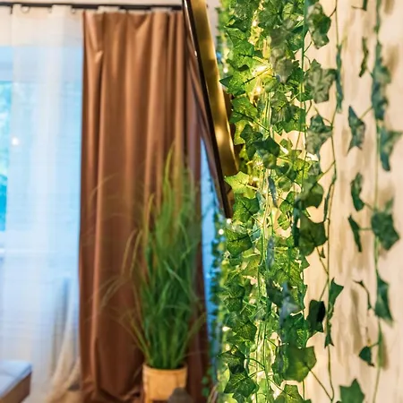 Apartment Jungle 15 Min Walk To Beach & Downtown